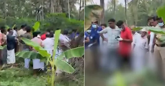 പന്നിക്കെണിയിൽനിന്ന് ഷോക്കേറ്റു; കർഷകന് കൃഷിയിടത്തിൽ ദാരുണാന്ത്യം