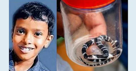 പാമ്പുകടിയേറ്റ അനോഷ് കണ്ണ് തുറന്നു; ആരോഗ്യനിലയിൽ പുരോഗതി