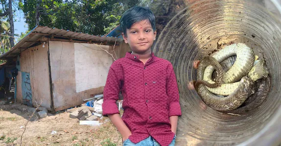 ആ കുഞ്ഞ് ഉറങ്ങിയത് ഷീറ്റ് കെട്ടി മറച്ച കൂരയിൽ; ഇഷ്ടികയ്ക്കിടയിൽ ഒളിച്ചിരുന്ന മൂർഖൻ; ഡോക്ടർ തൊട്ടു നോക്കിയില്ലെന്ന് പിതാവ്