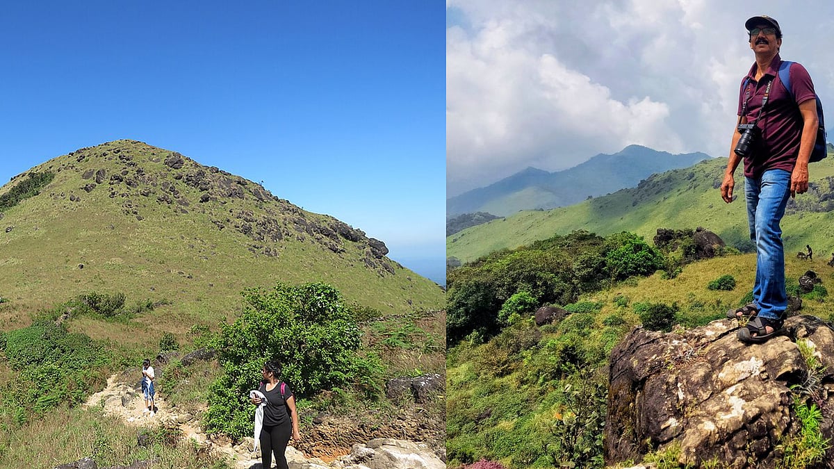 ‘എന്തോ പന്തികേടുള്ളതുപോലെ, ഇത്രയും ദിവസം ശരണ്യ കാട്ടില് കഴിഞ്ഞു എന്നത് അമ്പരപ്പിക്കുന്നു’-കുറിപ്പ്