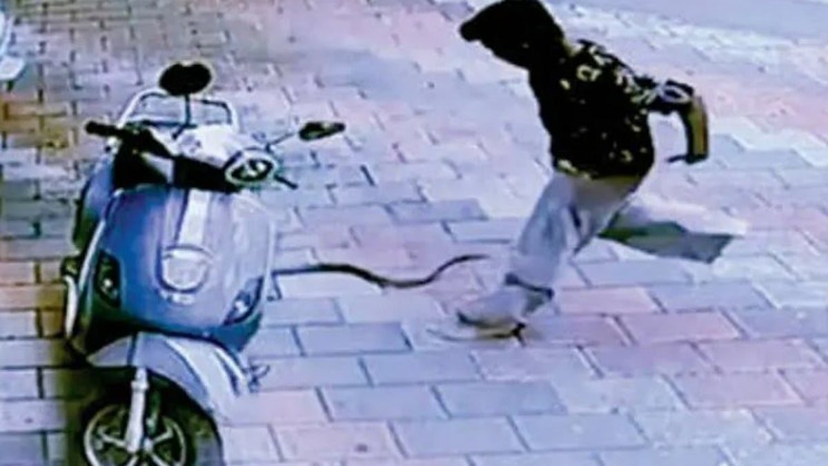 പാമ്പ് കടിച്ചത് പാന്റ്‌സില്‍; 11 കാരന്‍ രക്ഷപ്പെട്ടത് തലനാരിഴയ്ക്ക്