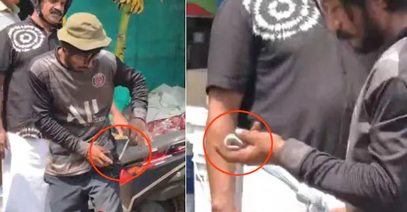 പാമ്പിൻ കുഞ്ഞിനെ പാന്റിന്റെ പോക്കറ്റിലിട്ടു നടന്നു; കടിയേറ്റ തൊഴിലാളി ആശുപത്രിയിൽ