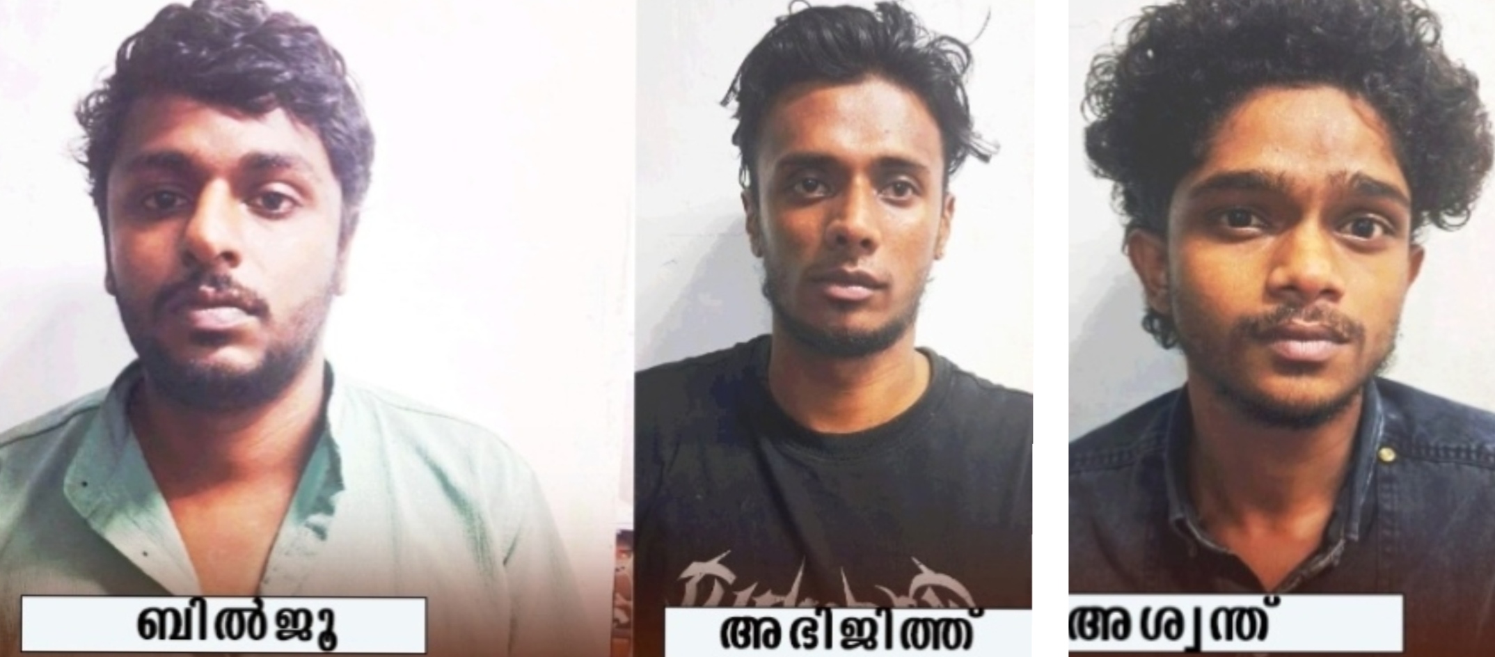 വനിതാ എസ്.ഐയെ അക്രമിച്ചു പരിക്കേല്പിച്ച സംഭവത്തിൽ കാപ്പ കേസ് പ്രതിയടക്കം മൂന്ന് പേർ പിടിയിൽ